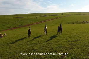 OS ARAGANOS   HERANÇAS 1984.00_02_50_22.Quadro018_53911a7ed68d7378f146d272e1d4cd33677089e2.jpg